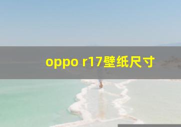 oppo r17壁纸尺寸